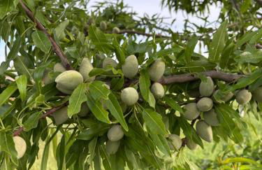 Villa Marinezzi - Foto 58