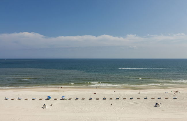 The Palms by Wyndham Vacation Rentals - Foto 41