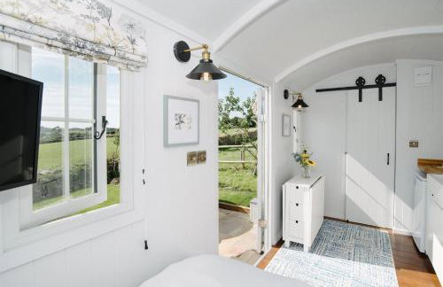 Shepherds Hut at Chenhall Farm - Photo 51