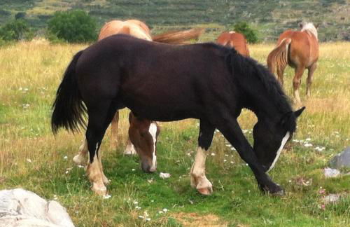 Apartemento Aiguestortes - Foto 27