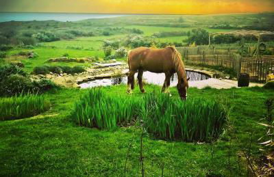 Dernier Ecolodge avant NewYork - Foto 40