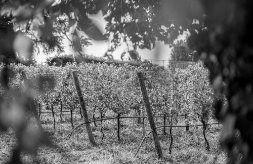 Villa Milesi in Franciacorta - Foto 54