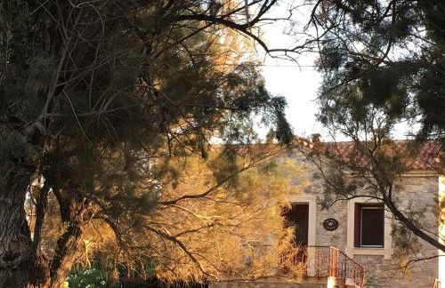 House on beach, Lesvos Nifida, Mytilene beach - Photo 65