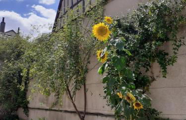 Clos Montcenoux, au coeur de Bourges. - Foto 25