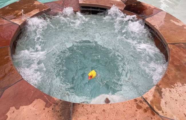 BIZI near Galleria Mall - Foto 65