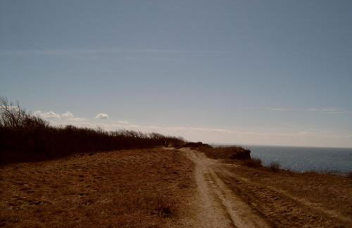 Ferienhäuschen - Foto 5