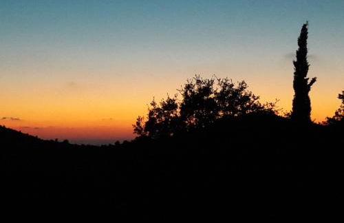 Alexia's house - Foto 21