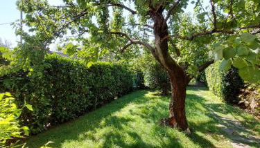 Casa Malina Ferienhaus im Grünen am Gardasee - Foto 4, Garden