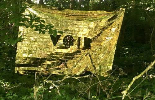 La Chartreuse et son Orangerie - Foto 42