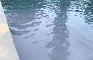 Southampton Village, 2 Fireplaces, Walk to All - Foto 56