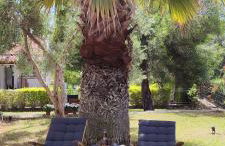 Villa Βianca in Sithonia - Foto 1