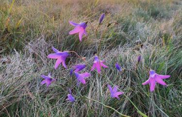 Stodoła 55 - Foto 67