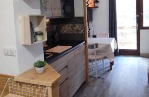 Le Petit Aupillon - L'Aupillon des Forêts - 2 studios cocooning aux Orres - Photo 30