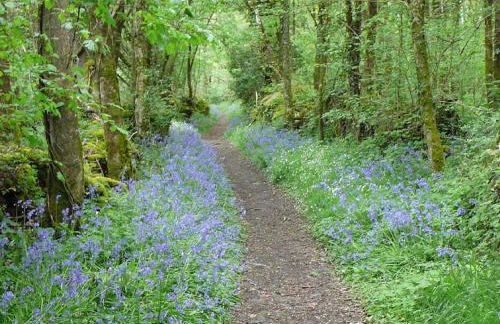 Gîtes LES Fougeres DU LAC - Foto 67