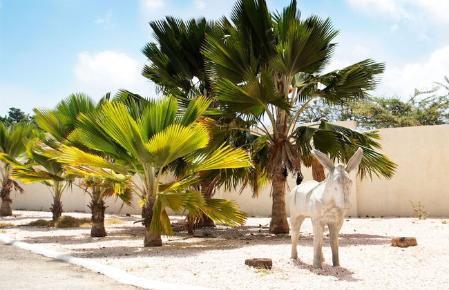 ABC Resort Curaçao - Foto 54