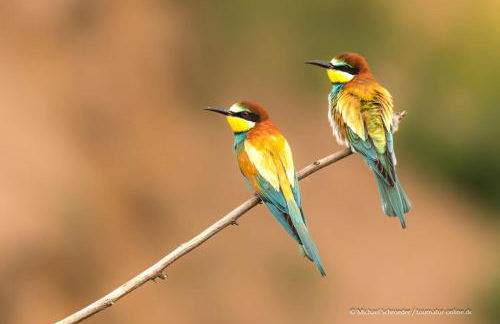 Im Herzen des Kraichgaus 1 - Foto 29