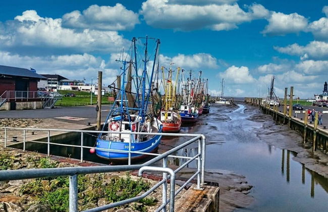 Sun, Mudflats and sea - Foto 25