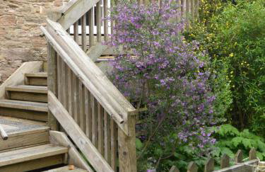 The Old Stables of heritage Tregrehan Garden Cottages on South Coast - Photo 15