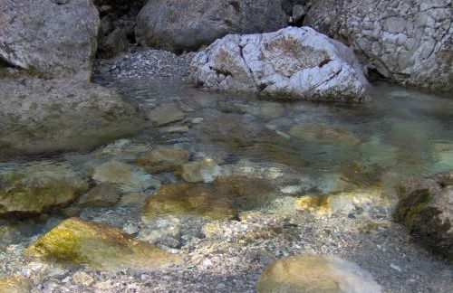 Apartment Ninetta Belluno Dolomiti - Foto 34