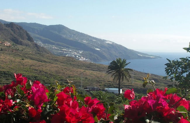 Apartamentos Miranda - Foto 41