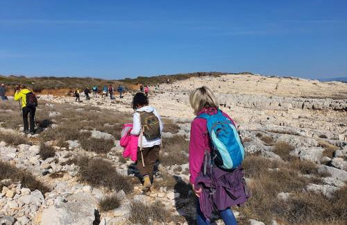 Mobile Home Katja - Photo 28