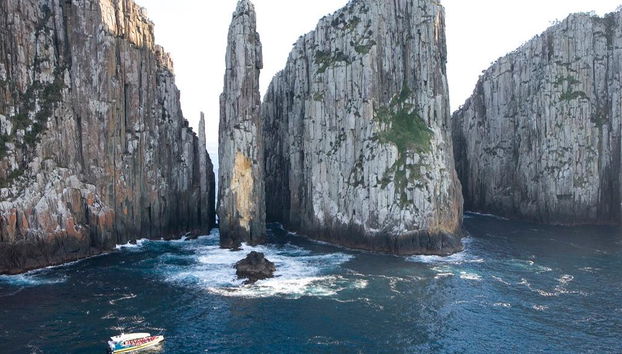 Tasman Island Cruise - Photo 3