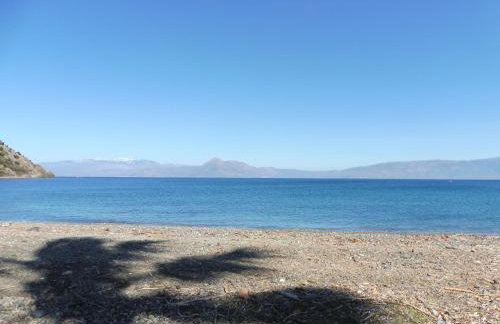 Palm tree house by the beach - Foto 45