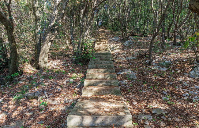 Villa Dragica - Foto 26