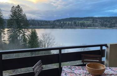 Beau Duplex, au bord du lac Saint-Point - Foto 2