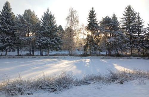 Gîte Sous le marronnier jusqu'à 10 personnes - Foto 4
