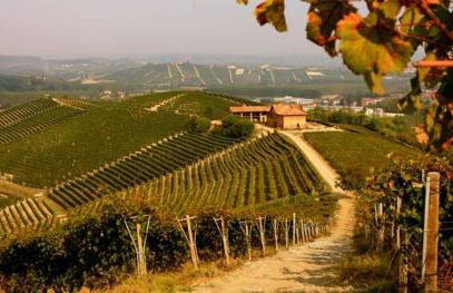 La Briccola - Foto 60