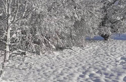 Holiday Home in Dordogne With Pool & Bubble Bath - Photo 67