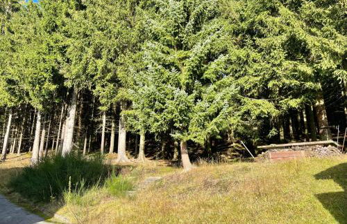 Ferienapartments Erzpanorama - Foto 41