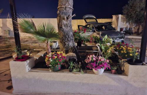 Le soleil de l'estaque - Foto 1