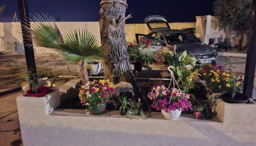 Le soleil de l'estaque - Foto 1, Garden, Garden view