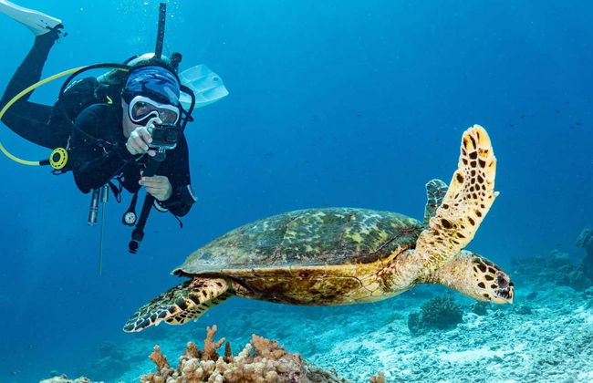 Mahahual Scuba Diving - Foto 1