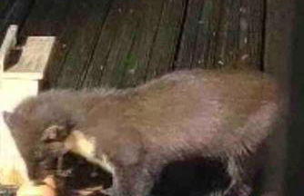 Scottish Highland Cottage Tyndrum Upper Station - Foto 38