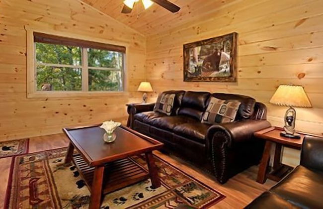 Dollywood Cabins - Foto 29