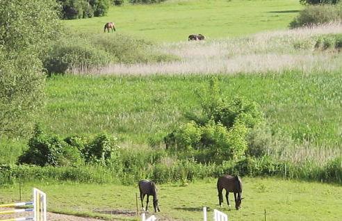 Herrenhaus Lübbenow - Foto 17