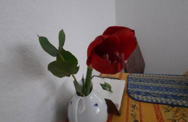 Gemütliches Nest in bester Kölner City-Wohnlage - Foto 20