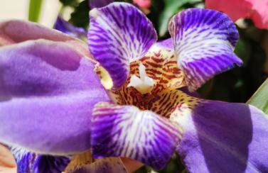 Casa da Ana - Foto 52