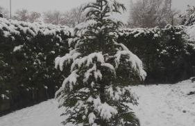 Abuela Carmen - Foto 38