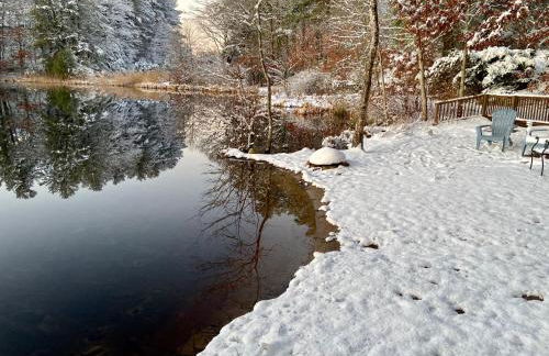 Clear Pond Suite - Photo 68