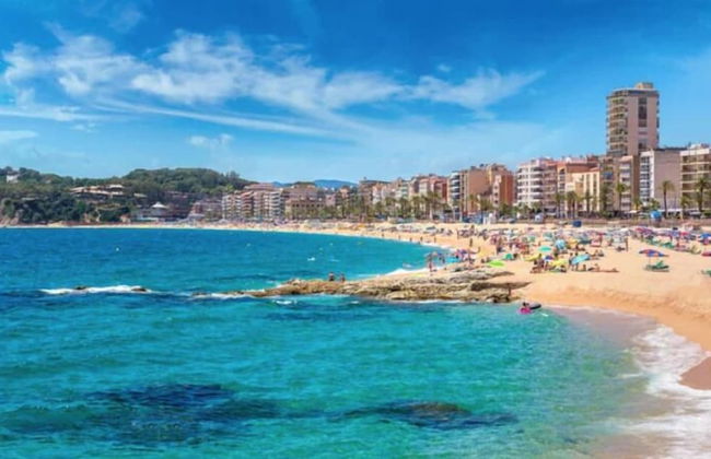 Golondrinas de Malaga - Photo 21