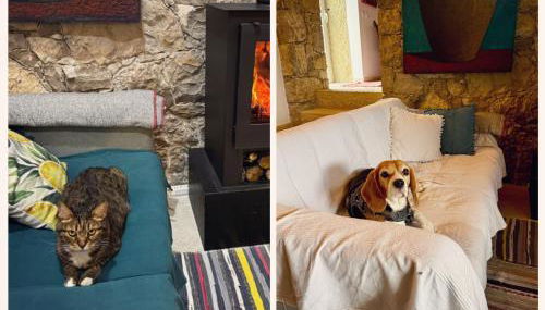 Casa da Curva - Foto 5