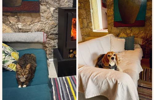 Casa da Curva - Foto 5