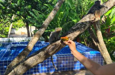 Brisas do Sul Condo Boutique - Foto 65