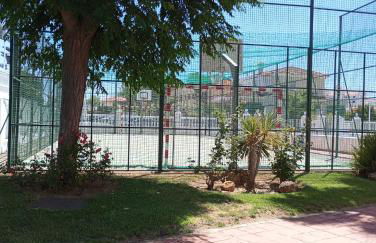 Cigüeñas - Foto 69