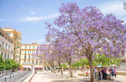 Malaga Centre Apartment with Parking - Photo 4