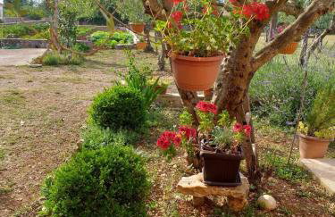 Rural Apartment Ante - Photo 20